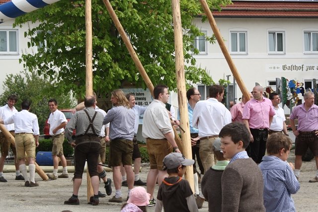 Maibaum 2013